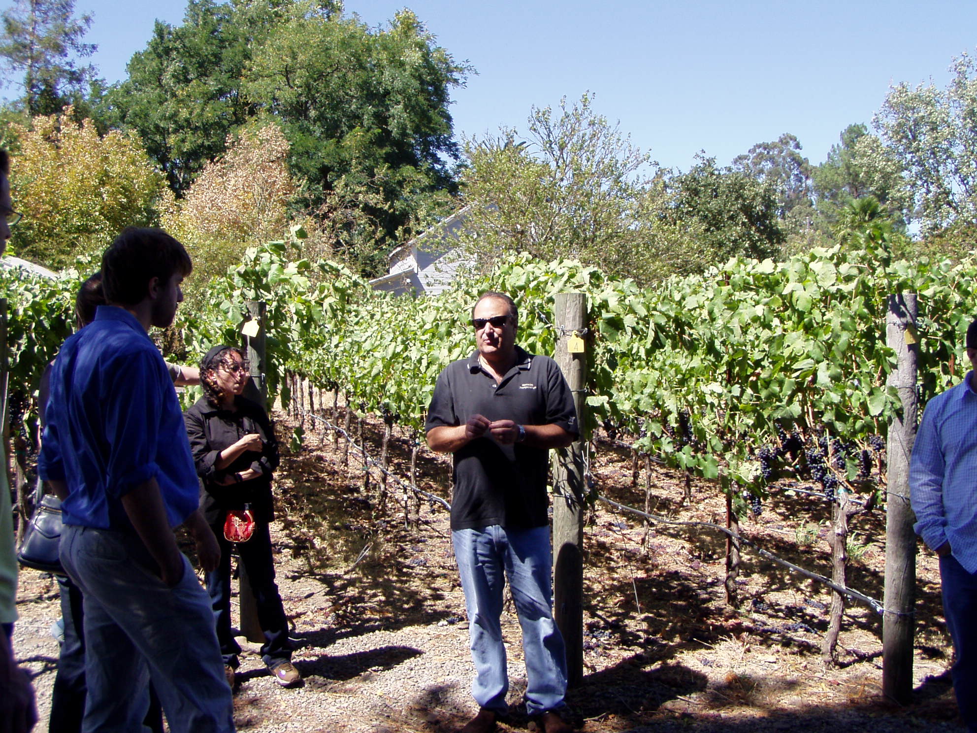 Sonoma